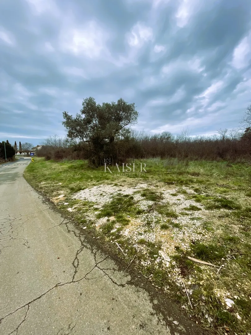 Istra, Bale građevinsko zemljište 7801 m2 - investicija za izgradnju luksuznih vila - Krmed, Bale