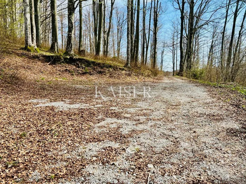 crni lug – građevinsko zemljište s prekrasnim pogledom - slika 8