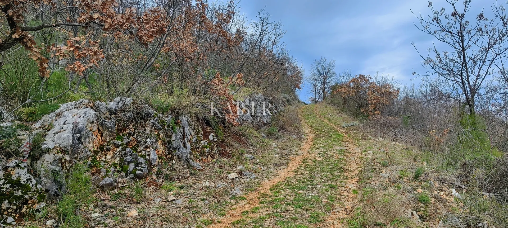 brseč - poljoprivredno zemljište, 2450 m2 - slika 3