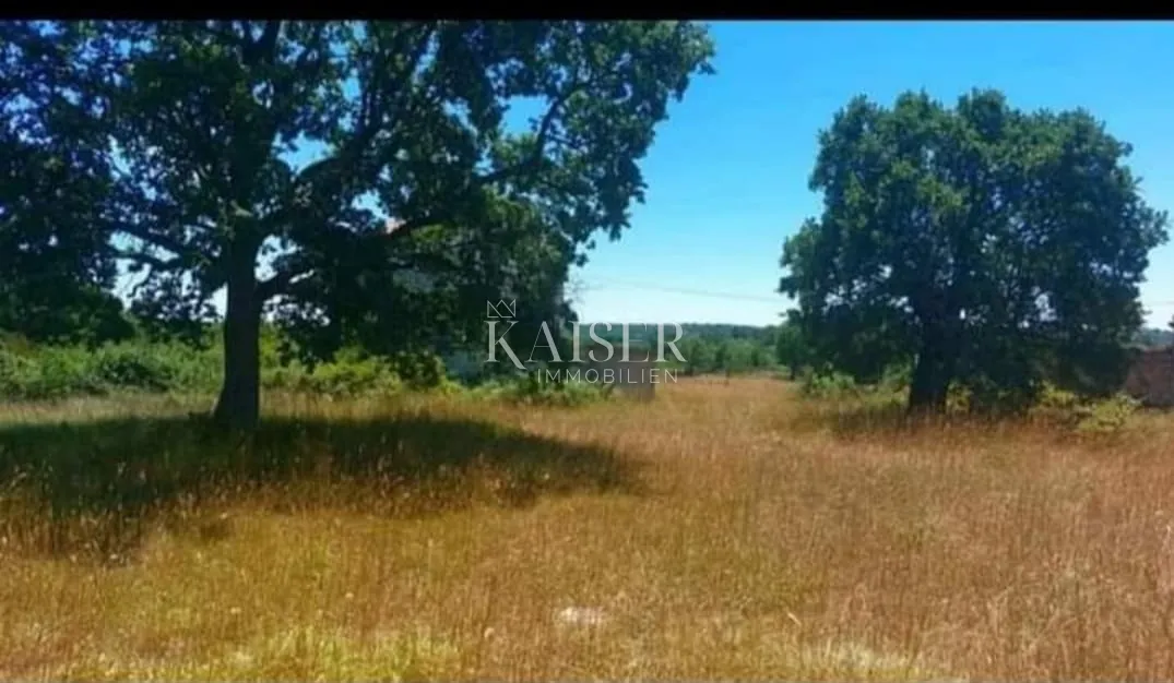istra, krnica - autentična istarska stancija 7000m2 - slika 8