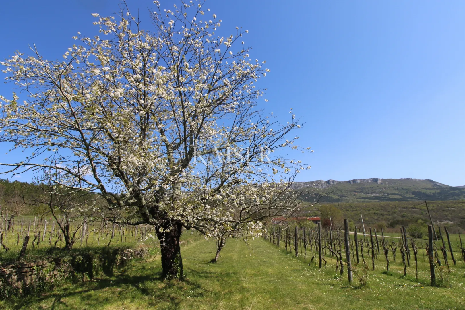 istra - buzet, kuća sa imanjem na 20000 m2 - slika 46