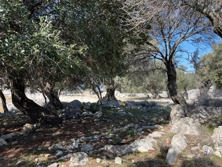 otok pag, lun - jedinstveno građevinsko zemljište 950m2 - slika 6