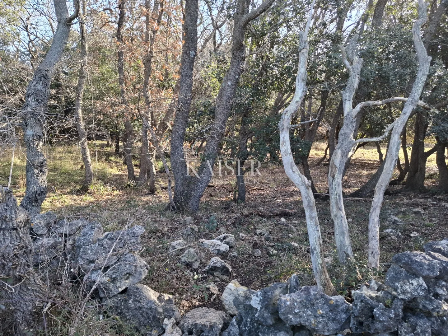 otok cres, belej, poljoprivredno zemljište 12 730 m2 - slika 2