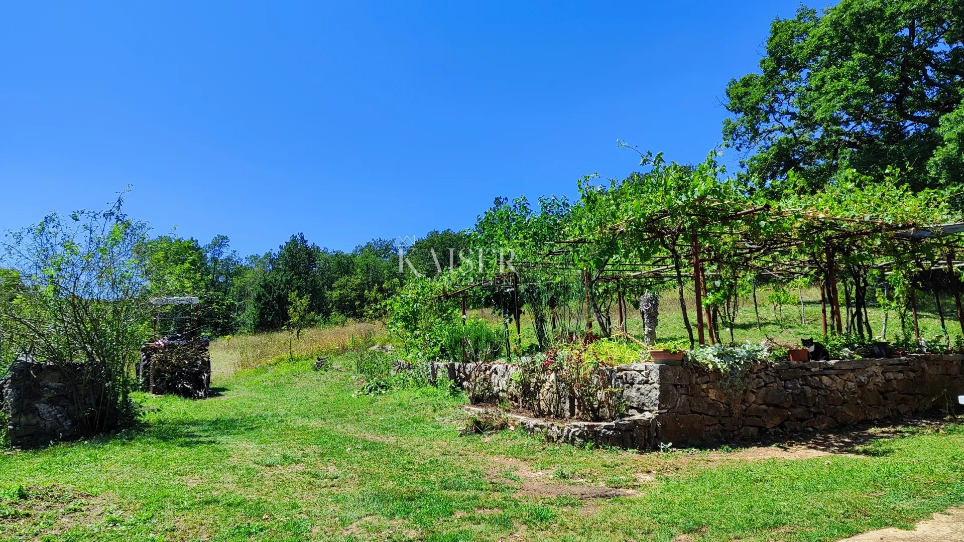 labin - imanje s kućom, 28.000m2 - slika 8