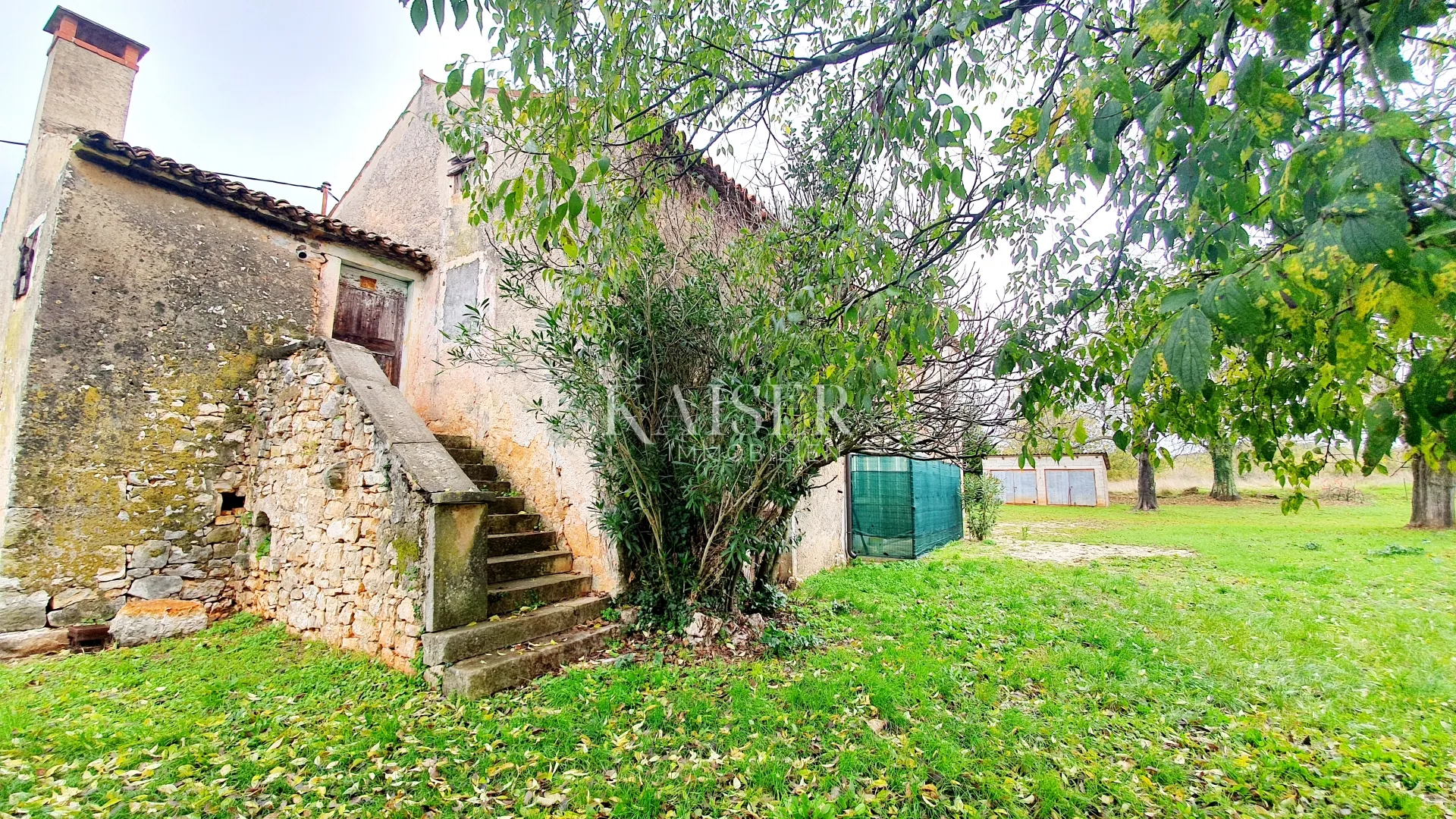 istra - višnjan, tri kamene kuće i zemljište 20.000 m2 - slika 3