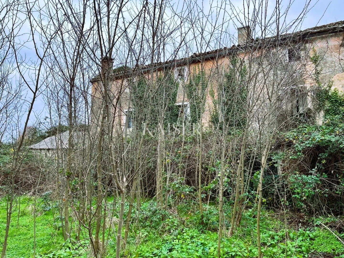 istra, bale građevinsko zemljište 7801 m2 - investicija za izgradnju luksuznih vila - slika 4