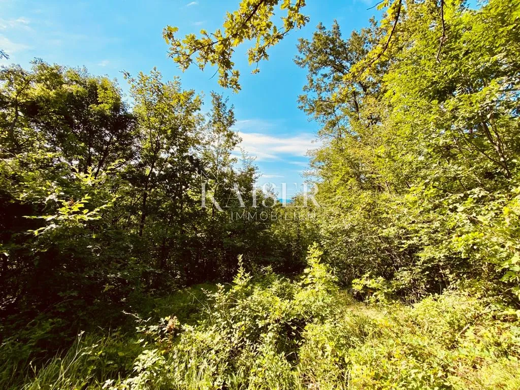 veprinac – vaša oaza u prirodi, građevinsko zemljište s pogledom na more - slika 6