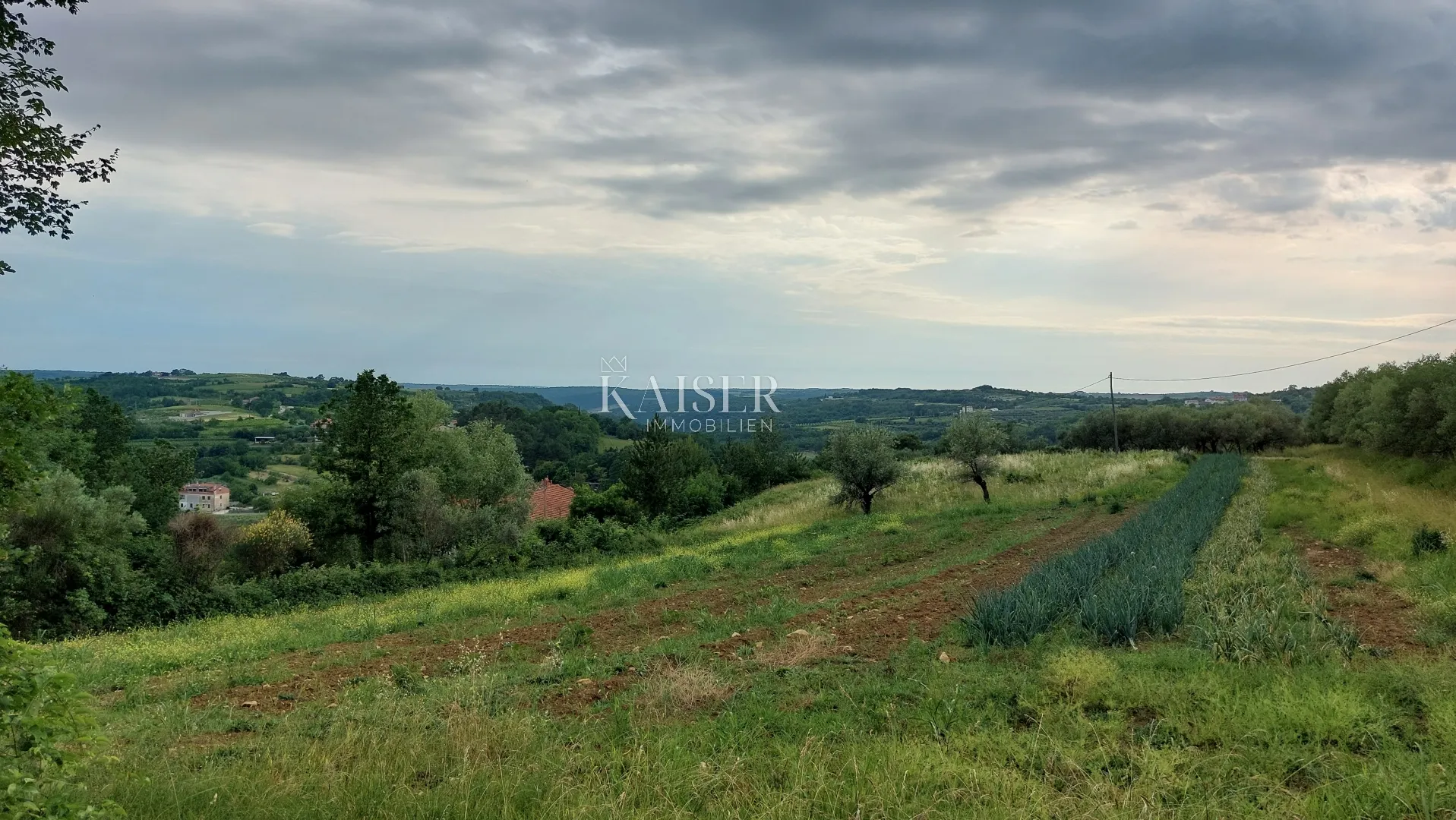 istra - grožnjan - građevinsko zemljište s prekrasnim pogledom - slika 4