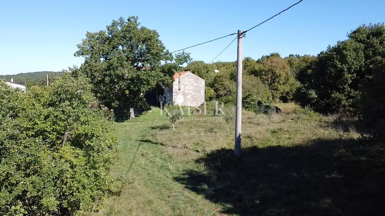 istra, oprtalj - građevinsko zemljište 4500 m2 s dvije kamene kuće - slika 7