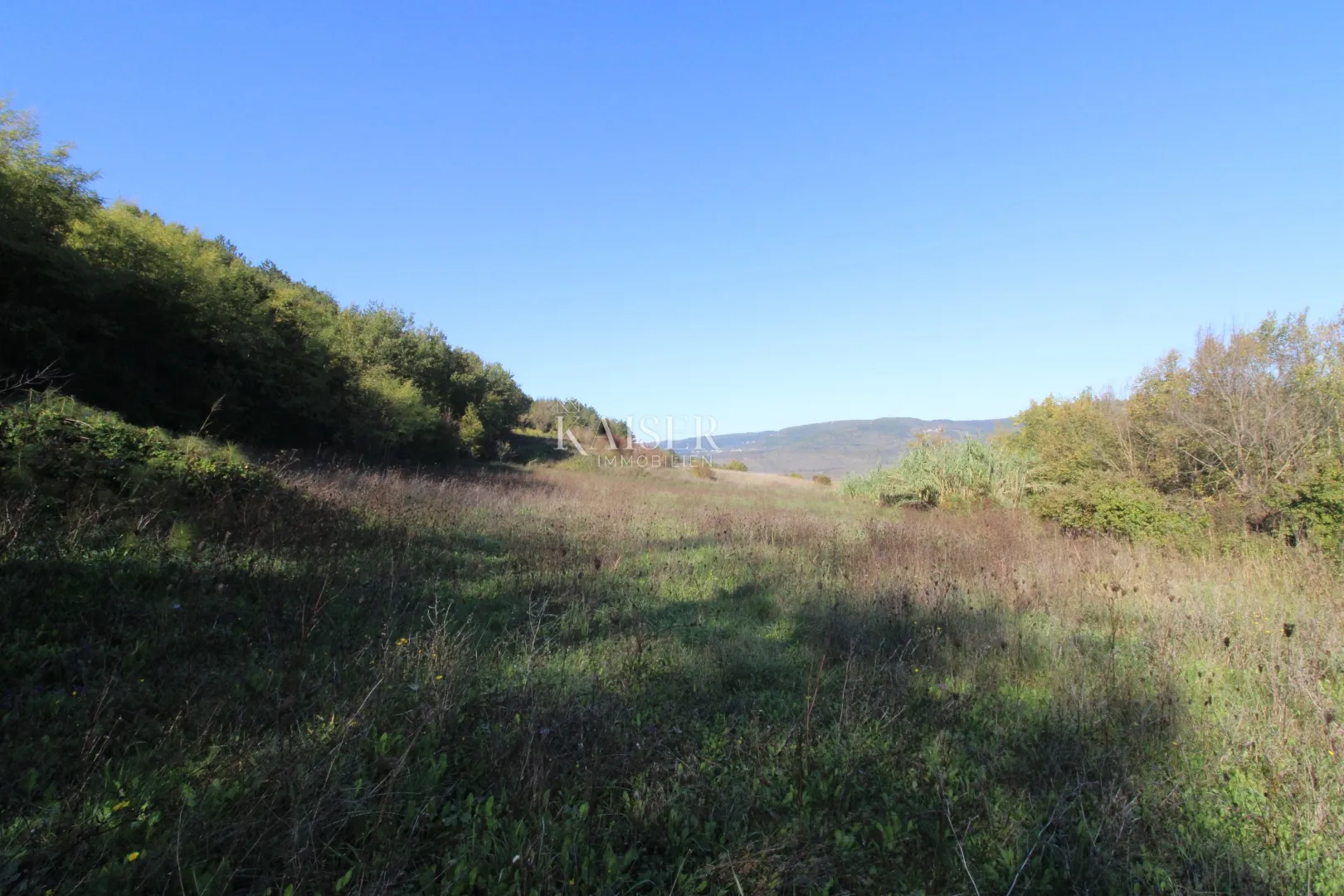 istra - motovun, poljoprivredno zemljište pogled motovun - slika 4