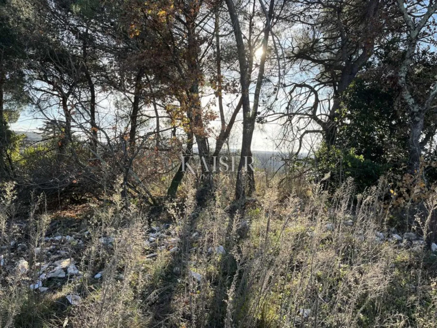 istra, okolica buja - građevinsko zemljište - slika 4