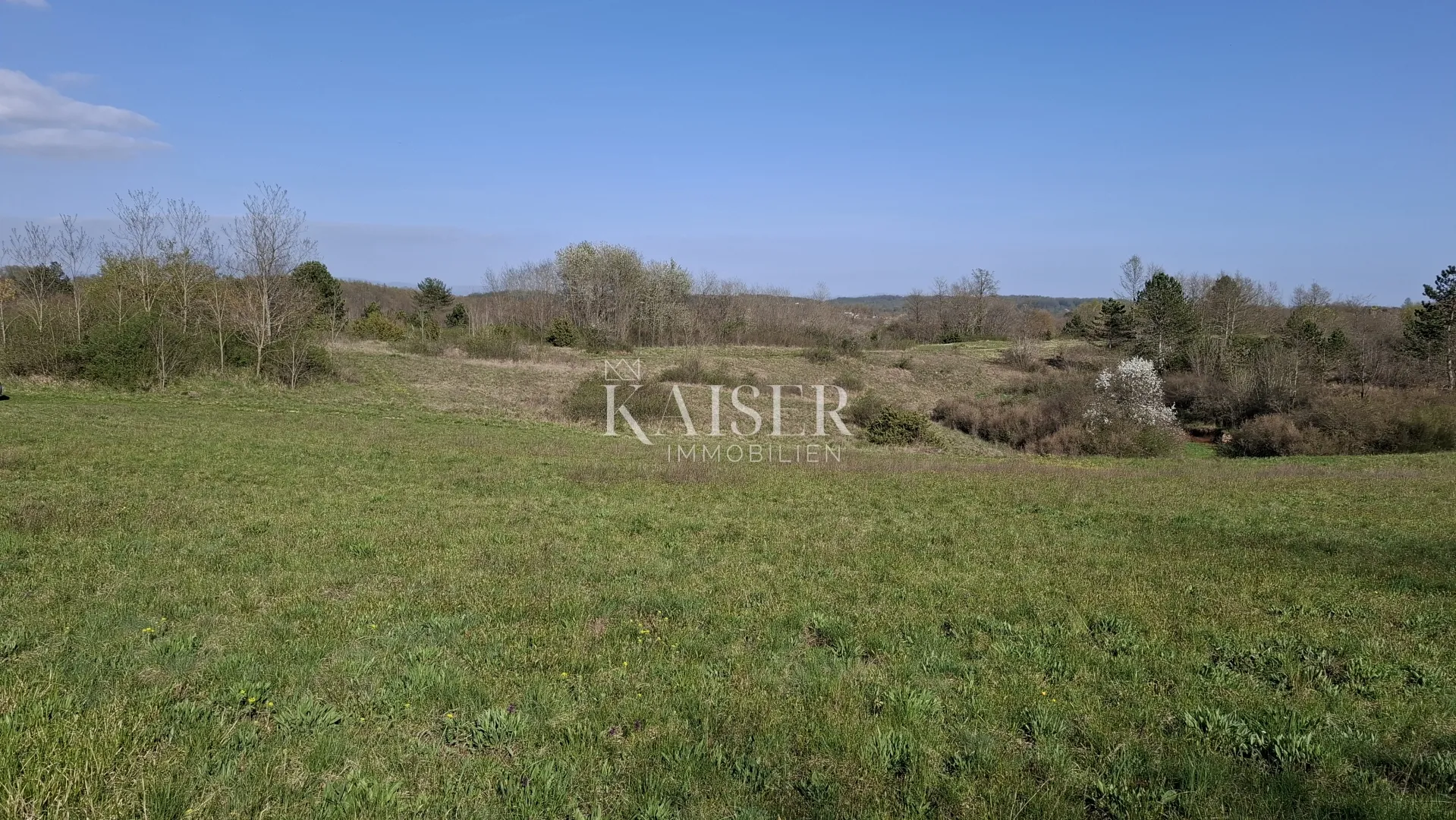 Istra, Pazin - poljoprivredno zemljište 72.560m2