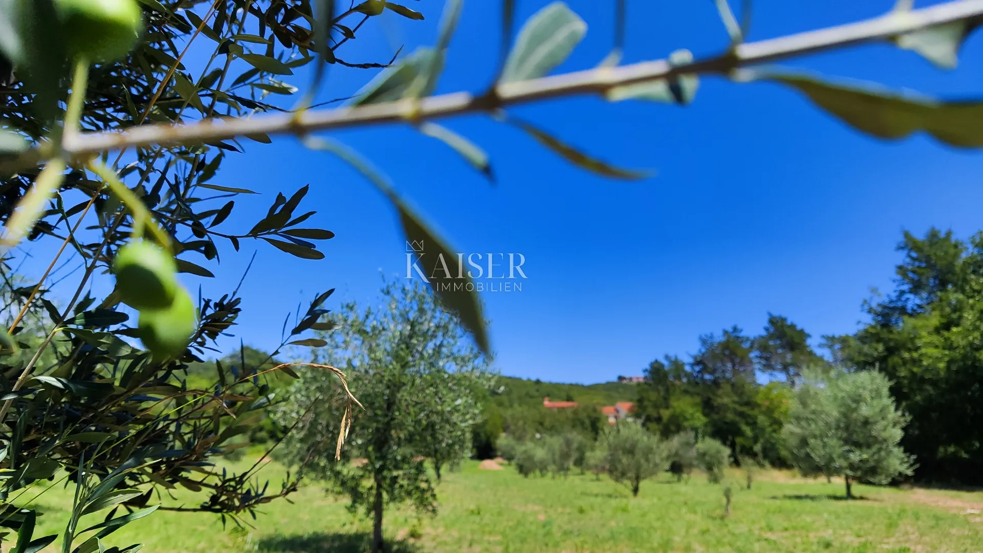 labin - imanje s kućom, 28.000m2 - slika 3