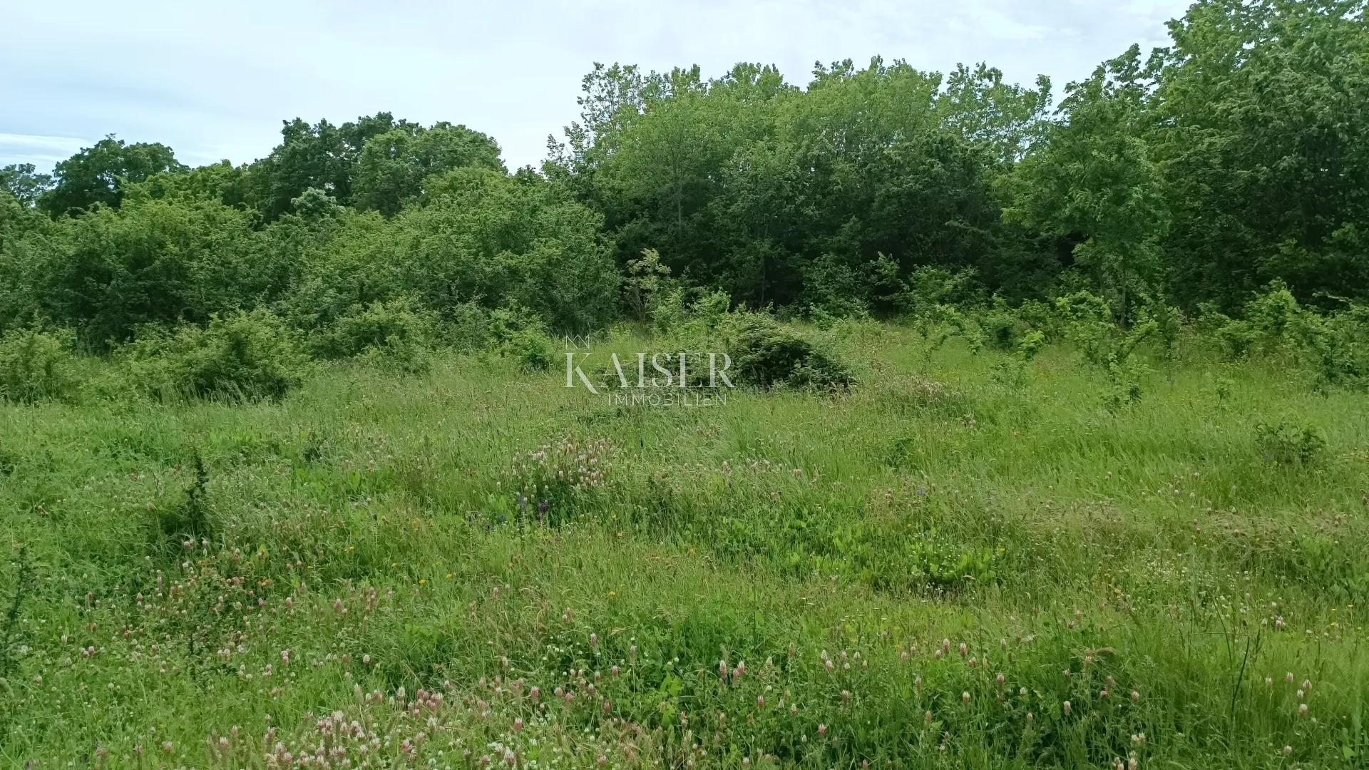 istra - barban - građevinsko zemljište, 970 m2 - slika 3