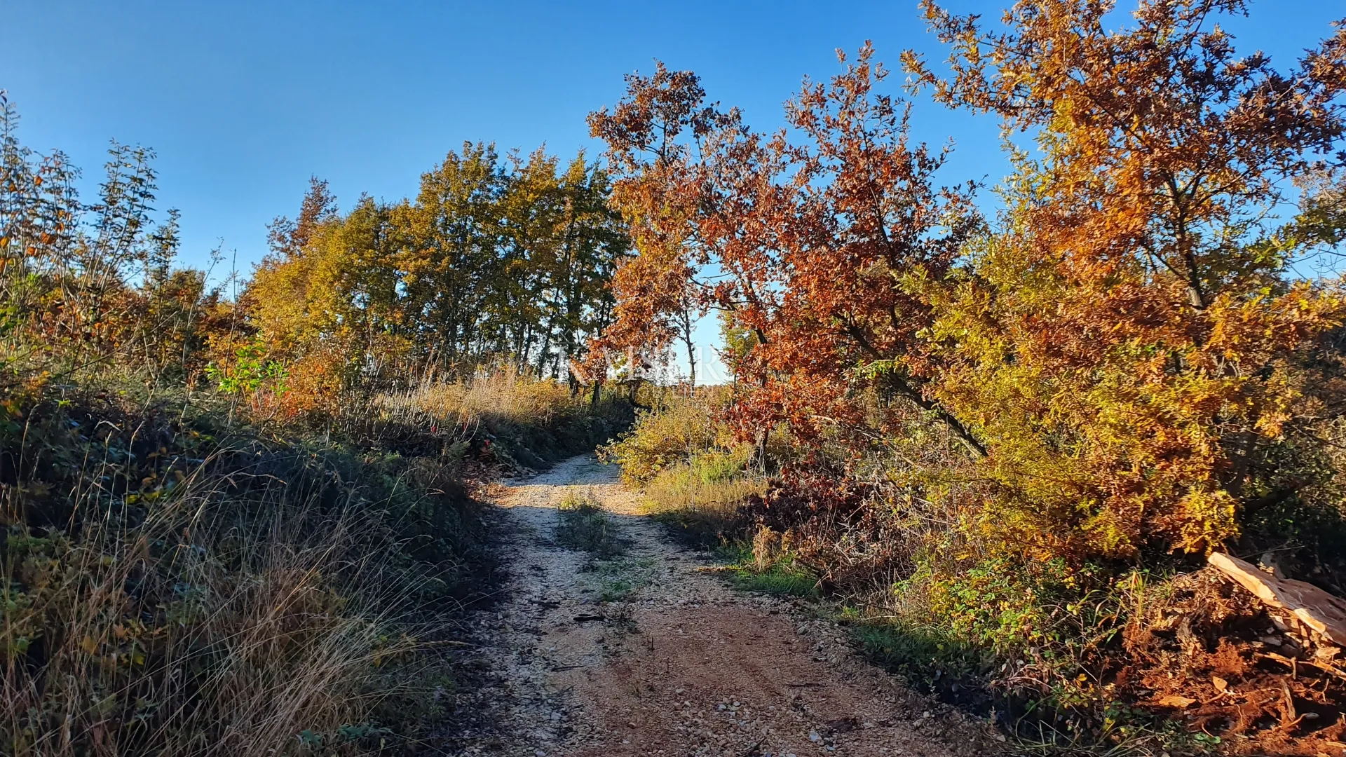 istra - lovreč, dva građevinska zemljišta pogled more - slika 8