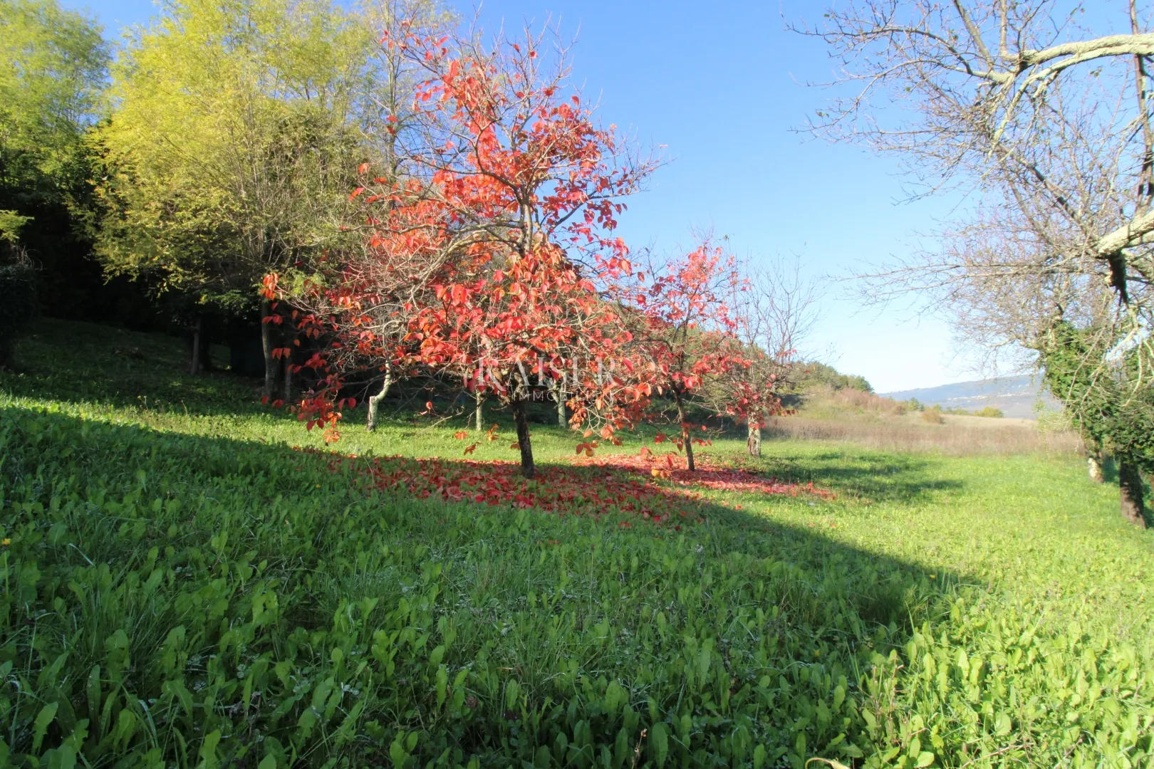istra - motovun, građevinsko zemljište pogled motovun - slika 8