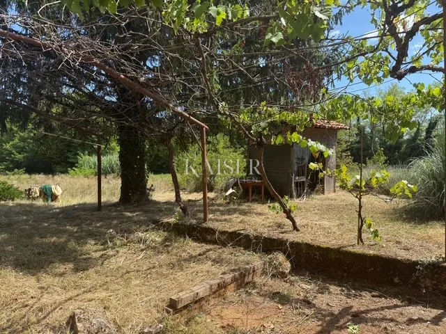 žminj - obiteljska kuća na imanju 6.454 m2 - slika 8