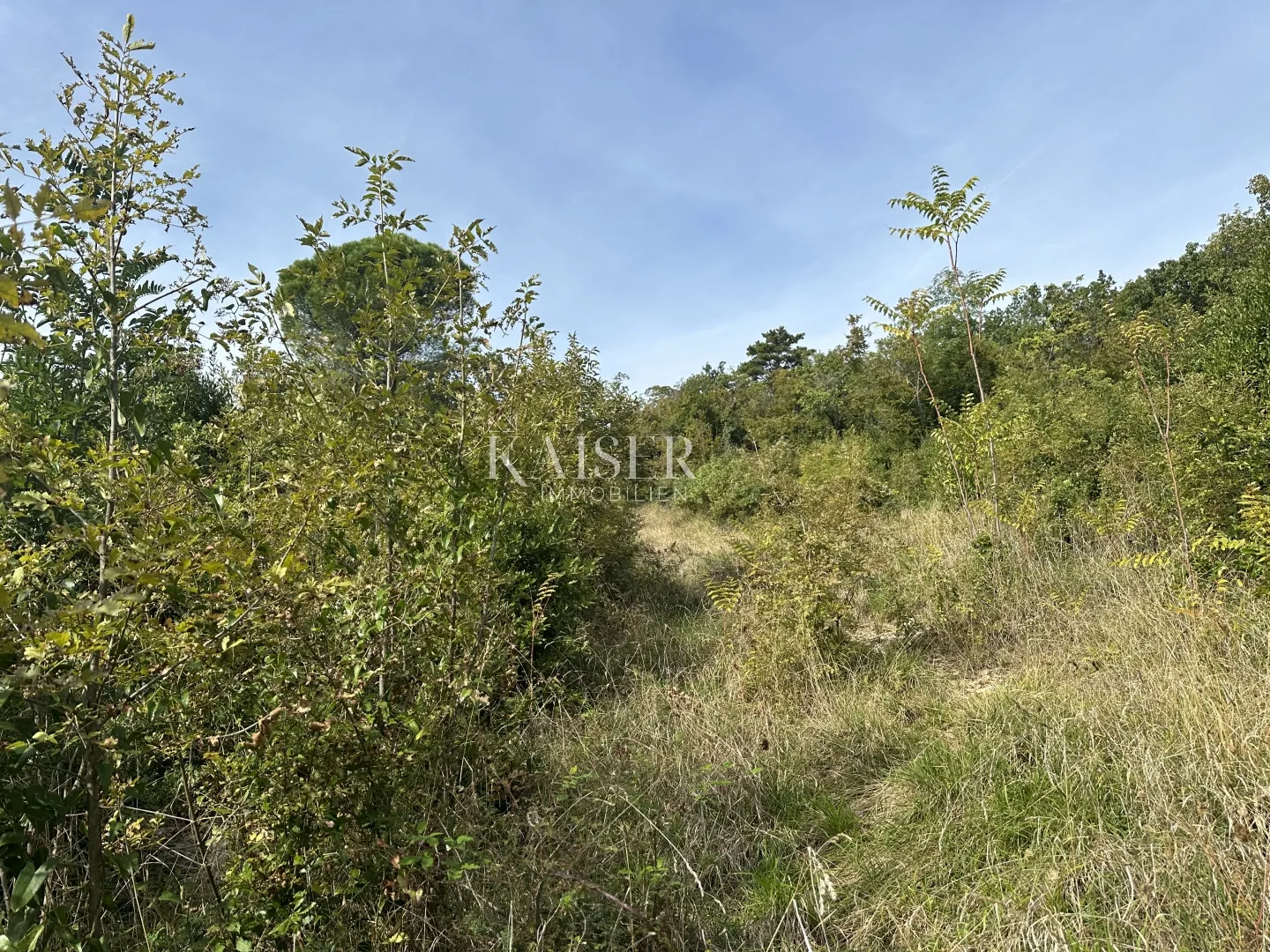 medveja - građevinsko zemljište 2.red do mora 6000 m2 - slika 6