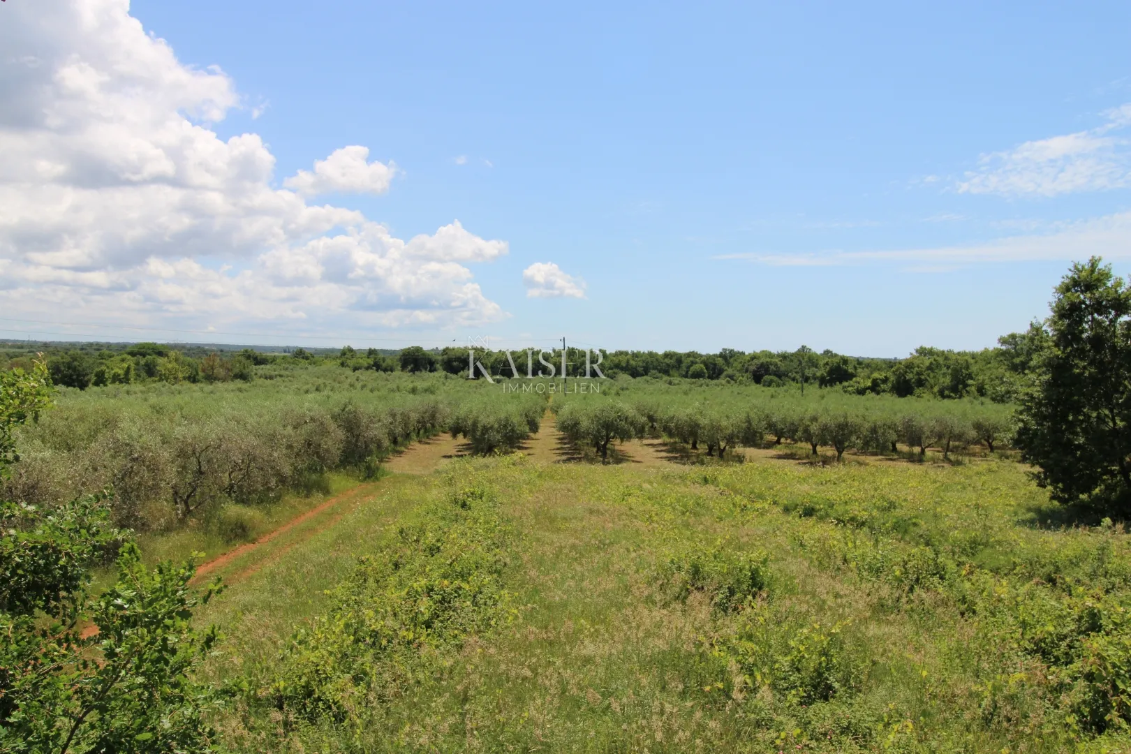 istra - poreč, građevinsko zemljište 500 m do mora t1 zona - slika 3