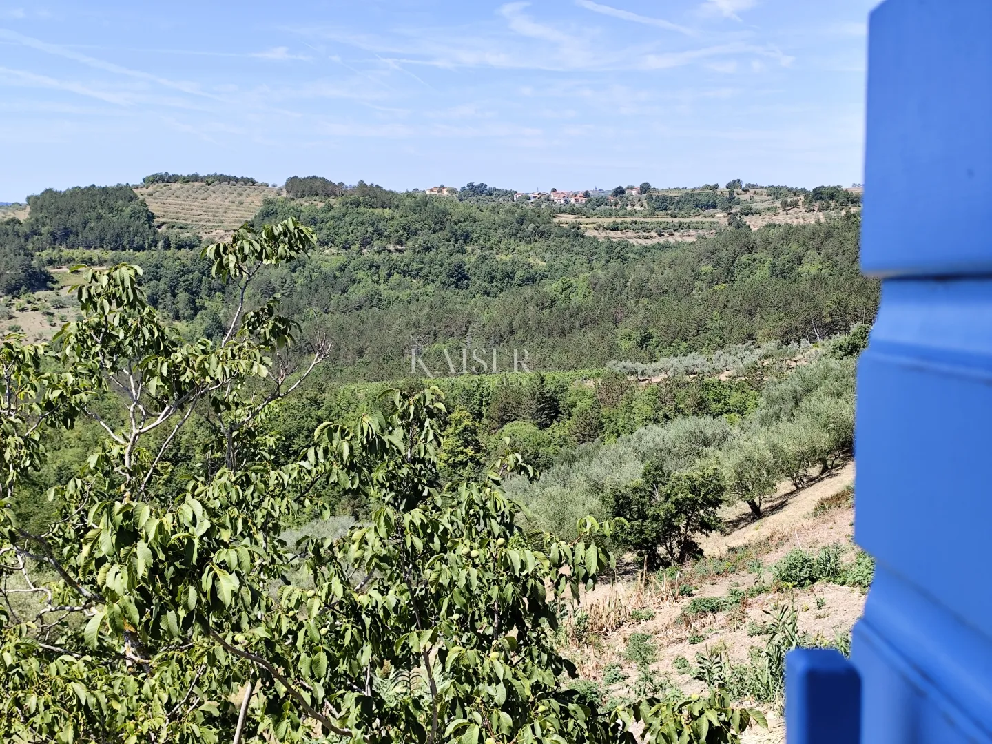 istra, buzet- imanje u centralnoj istri - slika 25