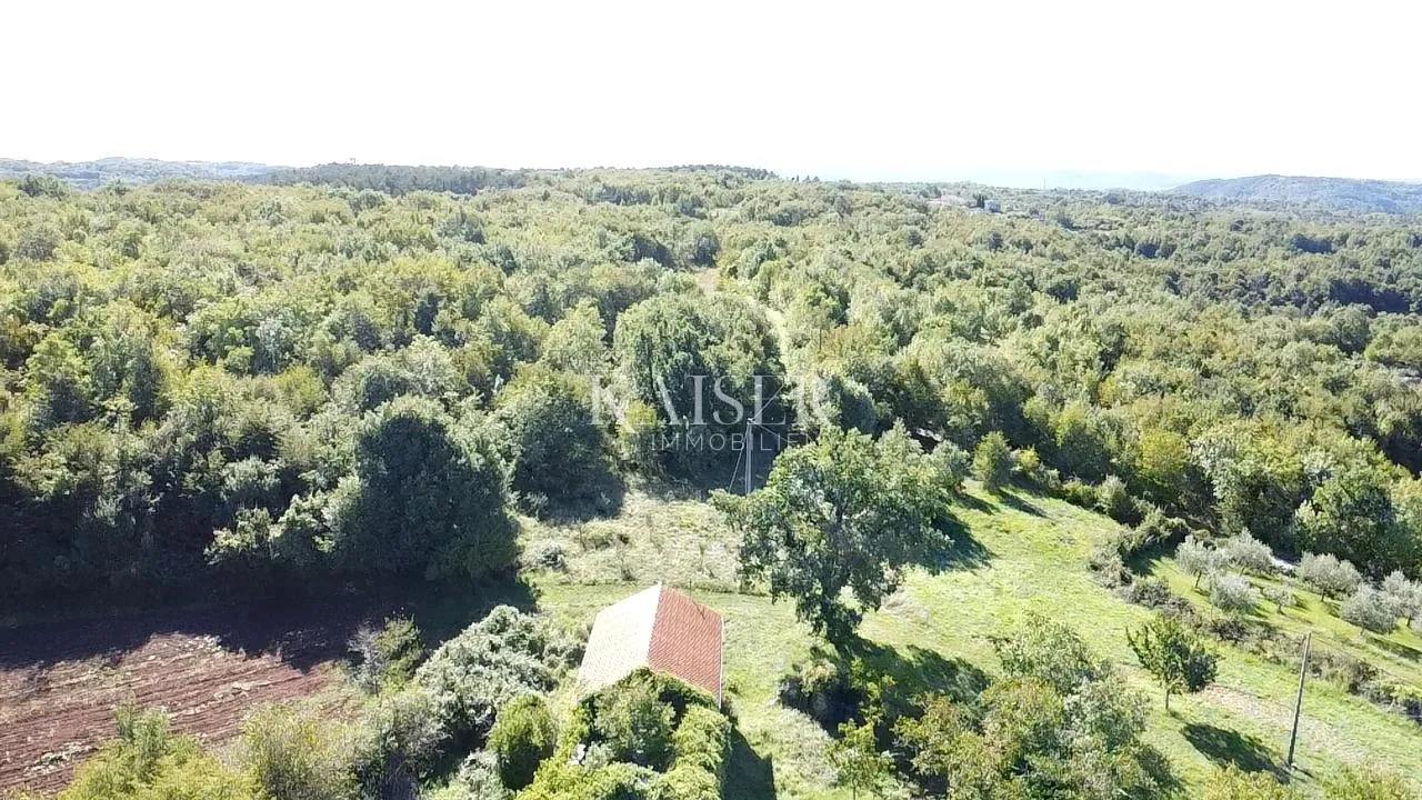 istra, oprtalj - građevinsko zemljište 4500 m2 s dvije kamene kuće - slika 2