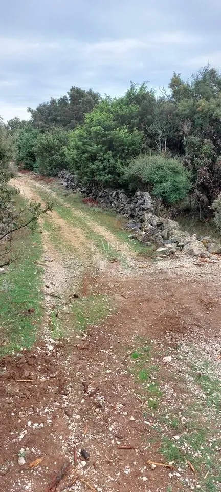 otok cres, stivan, poljoprivredno zemljište 12.229 m2 - slika 3