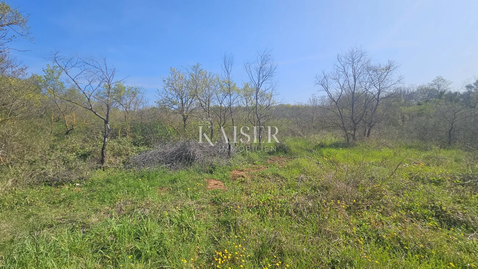 Umag, Istra okolica, poljoprivredno zemljište uz glavnu cestu - Petrovija, Umag