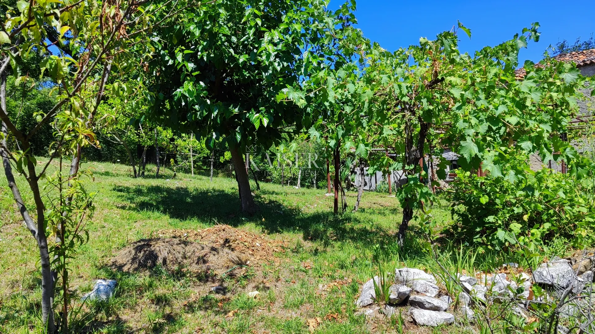 labin - imanje s kućom, 28.000m2 - slika 10