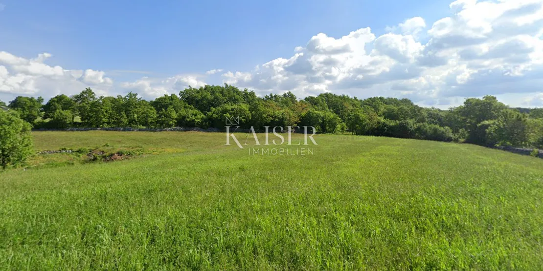 istra, sveti petar u šumi- poljoprivredno zemljište 10.000m2 blizu građevinske zone - slika 3