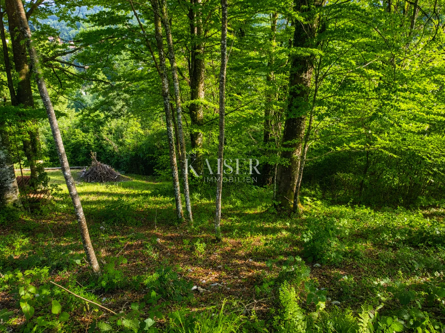 gorski kotar – građevinsko zemljište za a-frame kuću u srcu prirode - slika 3
