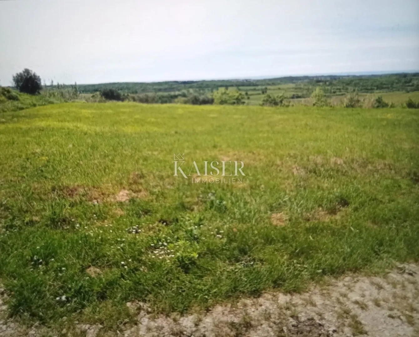Istra, Buje, građevinska parcela s pogledom na more!