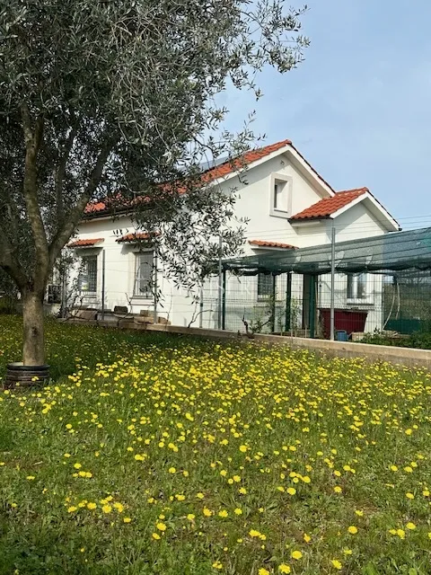 otok krk, malinska - maslinik s vikendicom i pogledom na more - slika 7