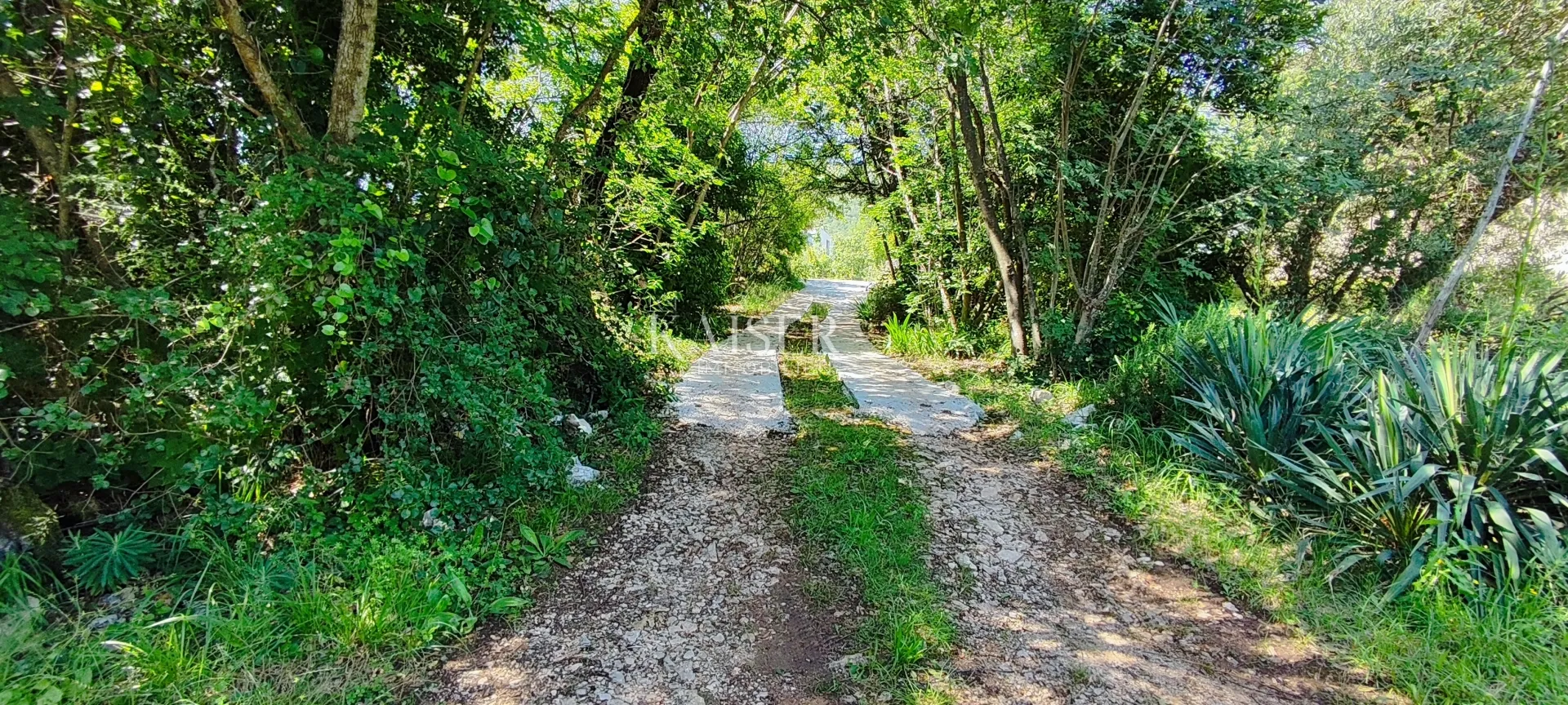 Drenje - građevinsko zemljište okruženo zelenilom, 900 m2 - Drenje, Raša