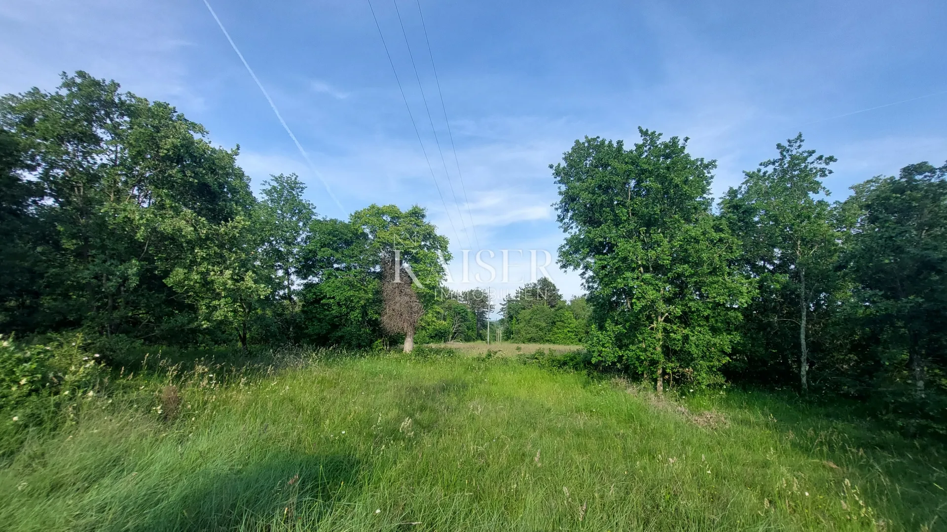 Istra, Buje okolica - građevinsko zemljište 1.500m2; blizina Grožnjana