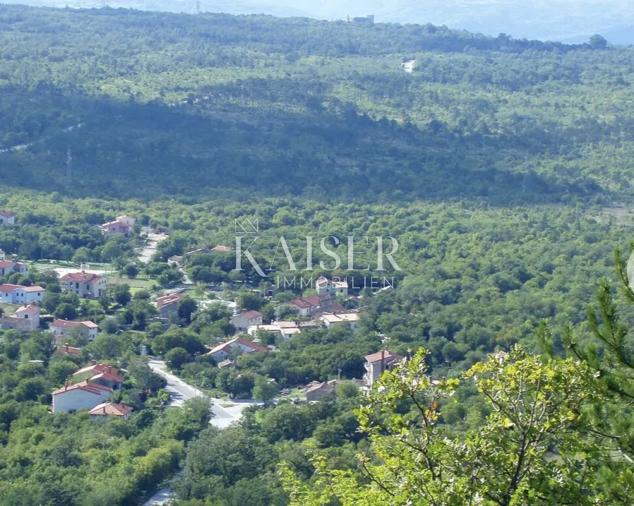 Labin - poljoprivredno zemljište 4 hektara s ucrtanim objektom