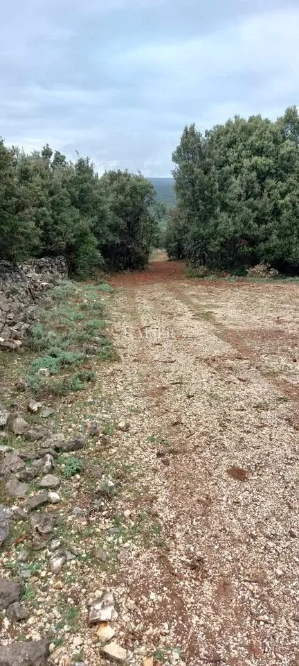 otok cres, stivan, poljoprivredno zemljište 12.229 m2 - slika 2