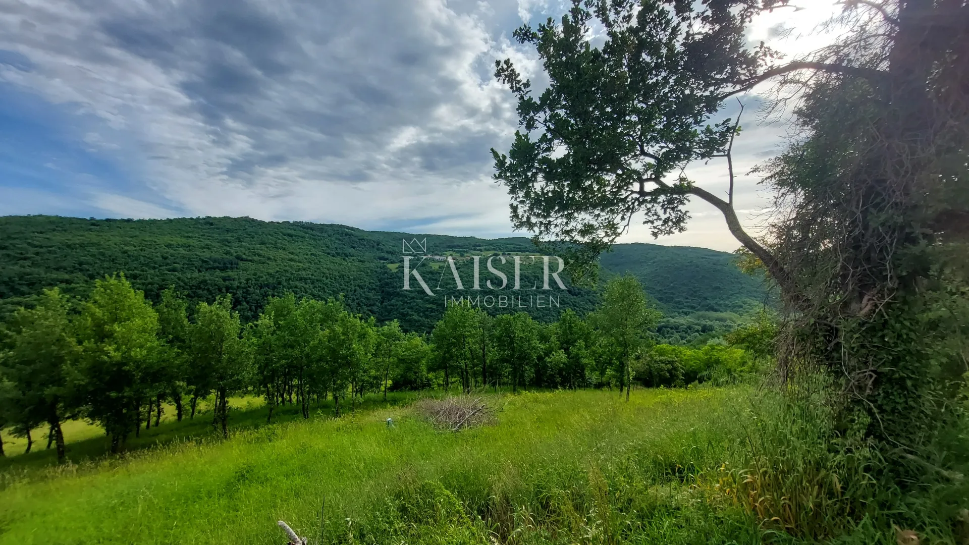 istra, motovun, okolica - građevinsko zemljište 880m2 - slika 3