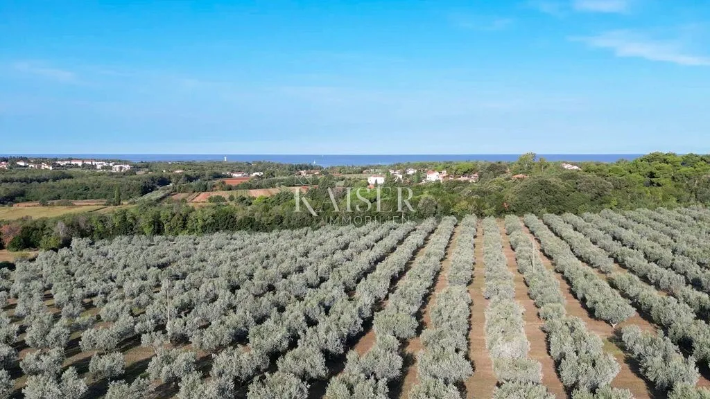 istra, rijetko luksuzno mediteransko imanje od 12 ha u prestižnom okruženju nadomak umaga - slika 17