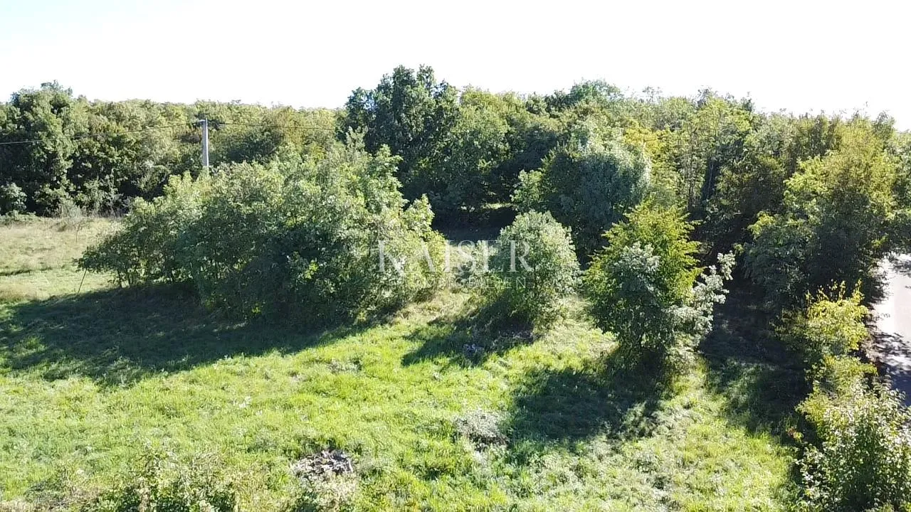 istra, oprtalj - građevinsko zemljište 4500 m2 s dvije kamene kuće - slika 3