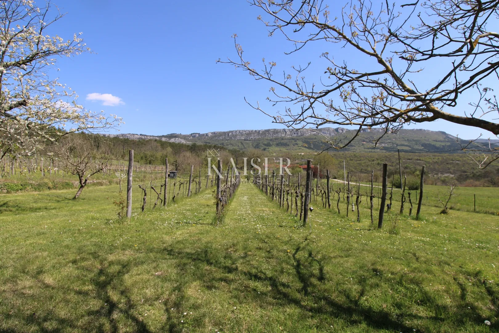 istra - buzet, kuća sa imanjem na 20000 m2 - slika 45