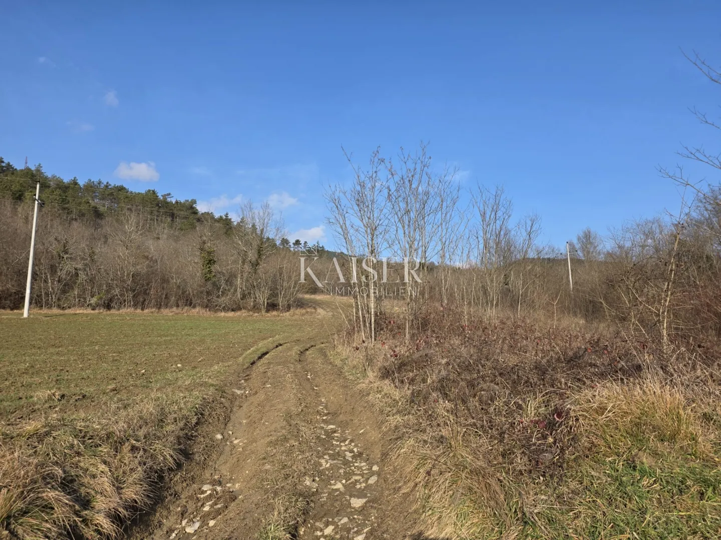 istra, motovun - građevinsko zemljište 37000m2 - slika 7