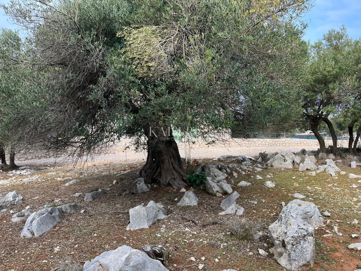 otok pag, lun - jedinstveno građevinsko zemljište 950m2 - slika 8