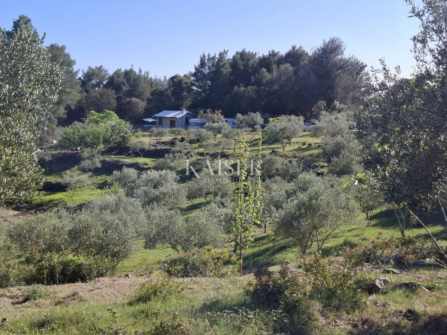 otok cres, punta križa, kuća 30 m2 sa 8.000 m2 terena - slika 8