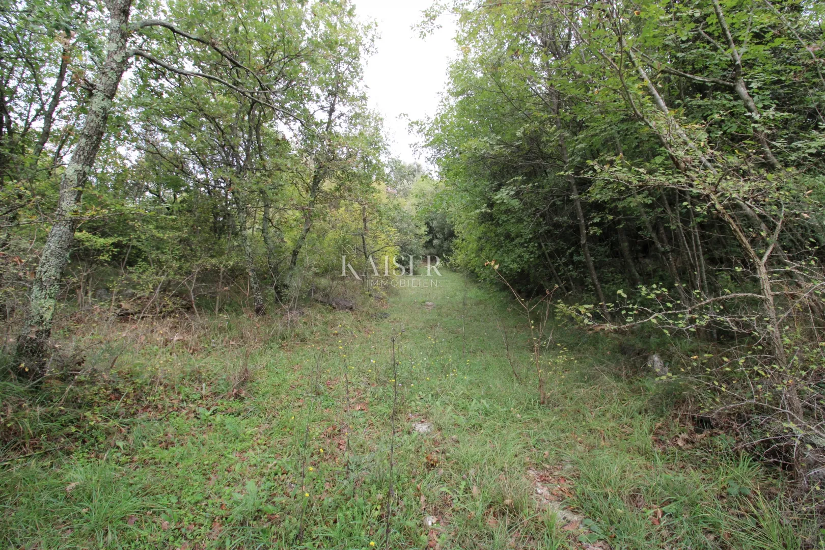 istra, rabac - kuće 235 m2 na imanju od 9.560 m2 - slika 23