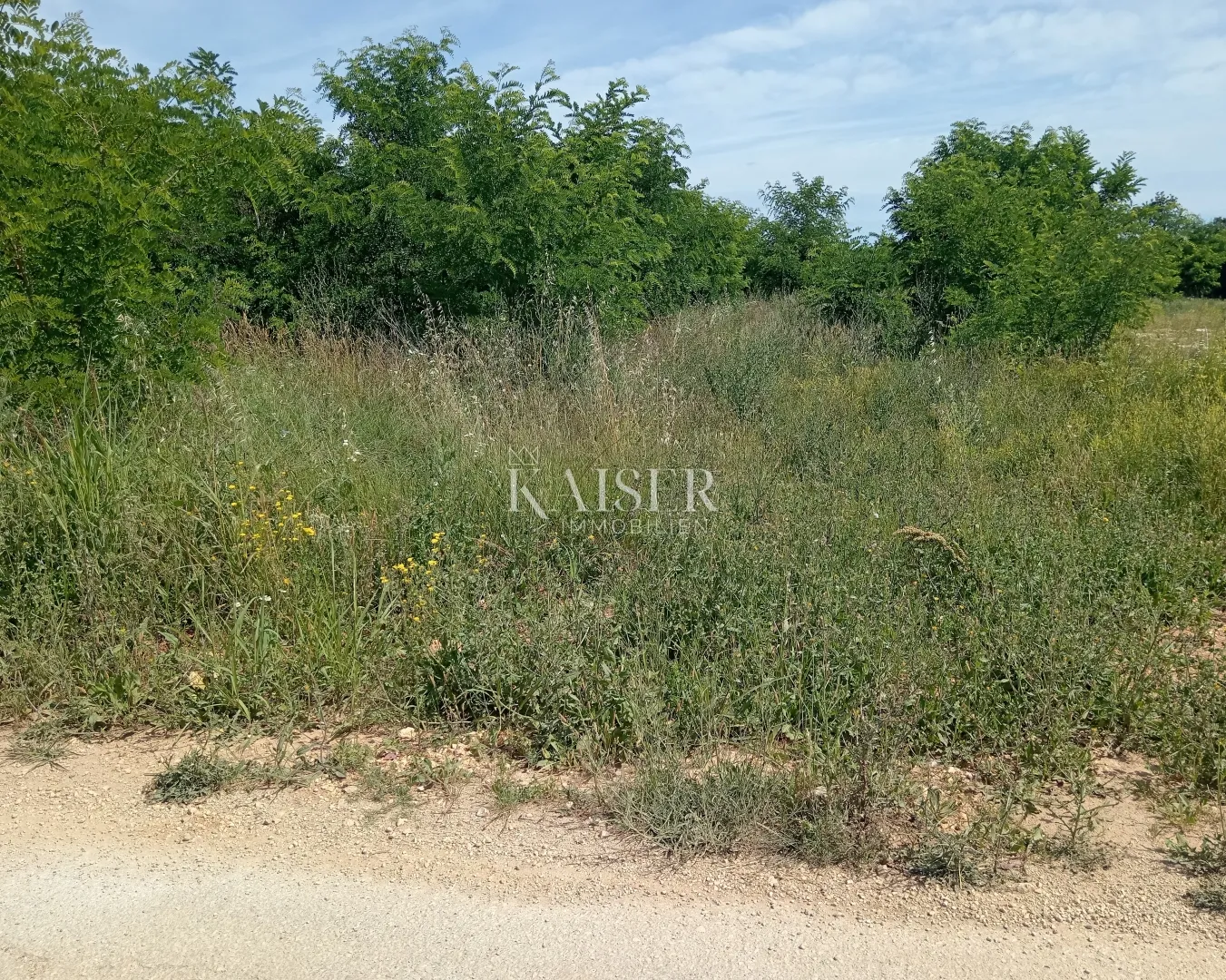 Istra, Baderna, građevinska parcela 3000m2 - Baderna, Poreč