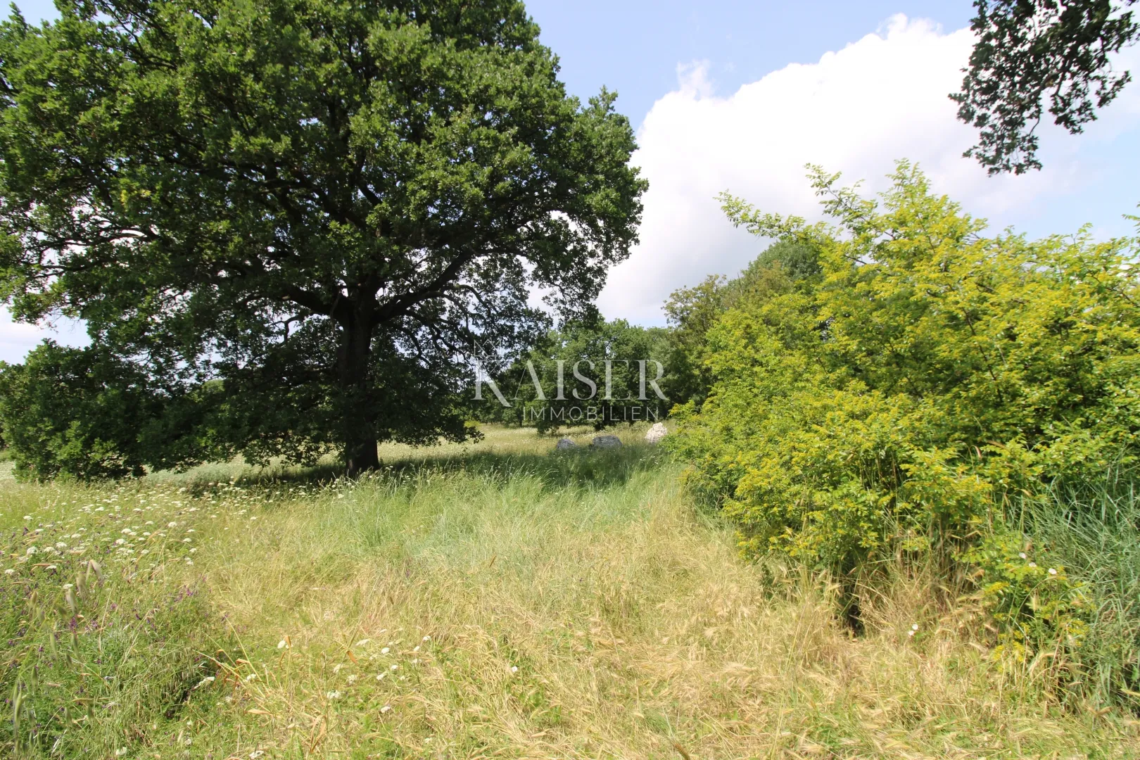 istra, labin- poljoprivreno zemljište 11.200m2 pored građevinske zone - slika 2