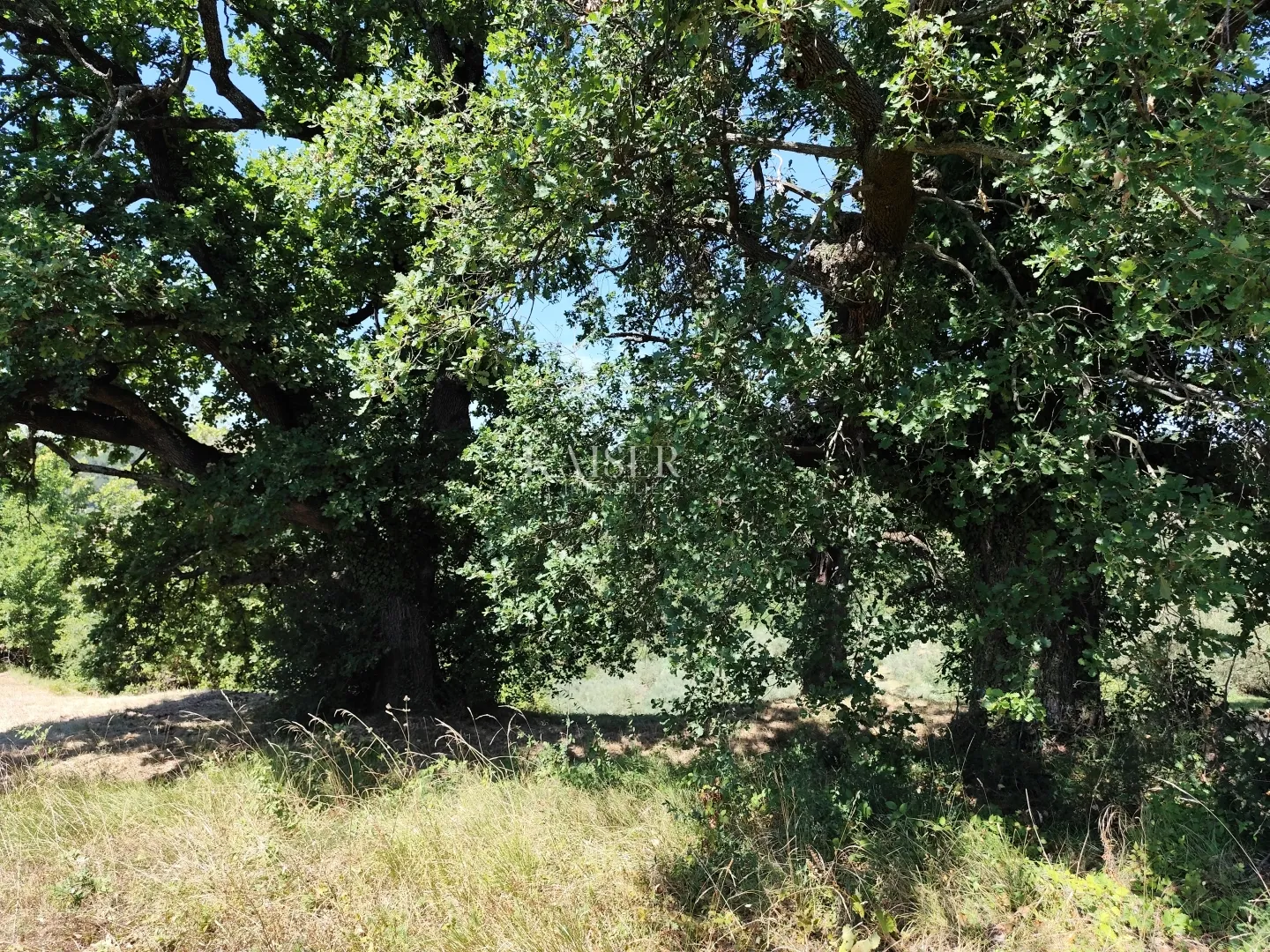 istra, buzet - građevinsko zemljište s pogledom na prirodu - slika 9