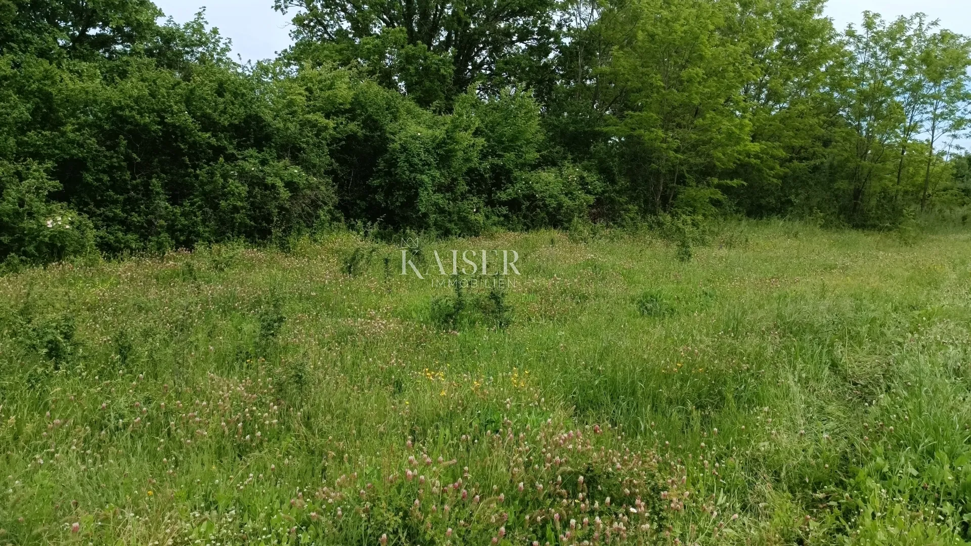 istra - barban - građevinsko zemljište, 970 m2 - slika 5