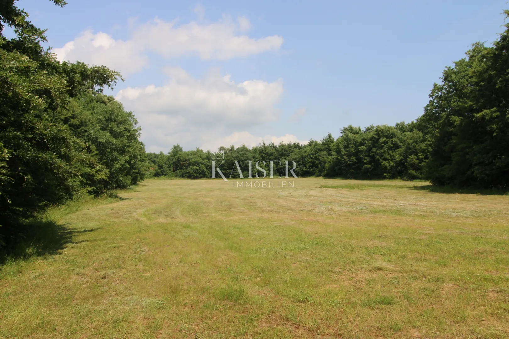 istra, labin- poljoprivredno zemljište 13.700m2 s šumom - slika 3