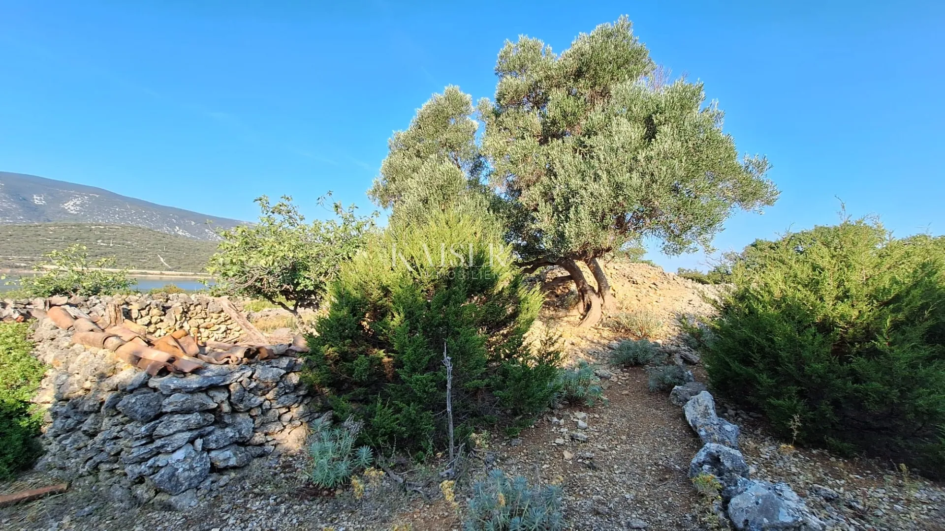 cres, osor – zemljište 7.000 m2 uz more s ruševinom - slika 7